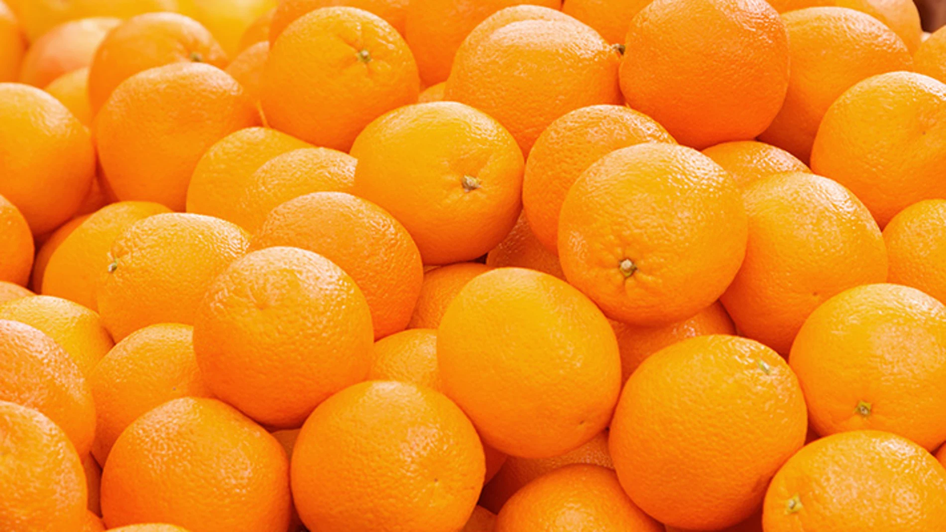 Imagen de archivo de naranjas
