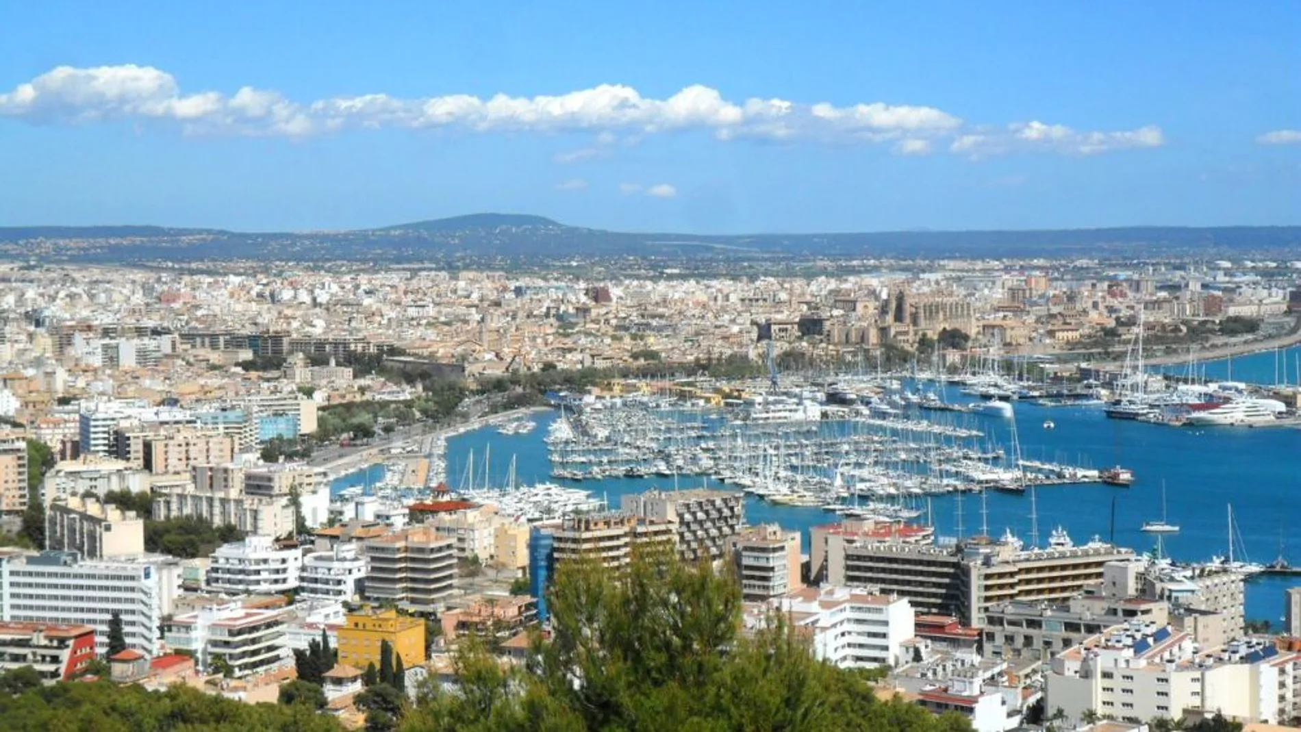 48 horas en Palma