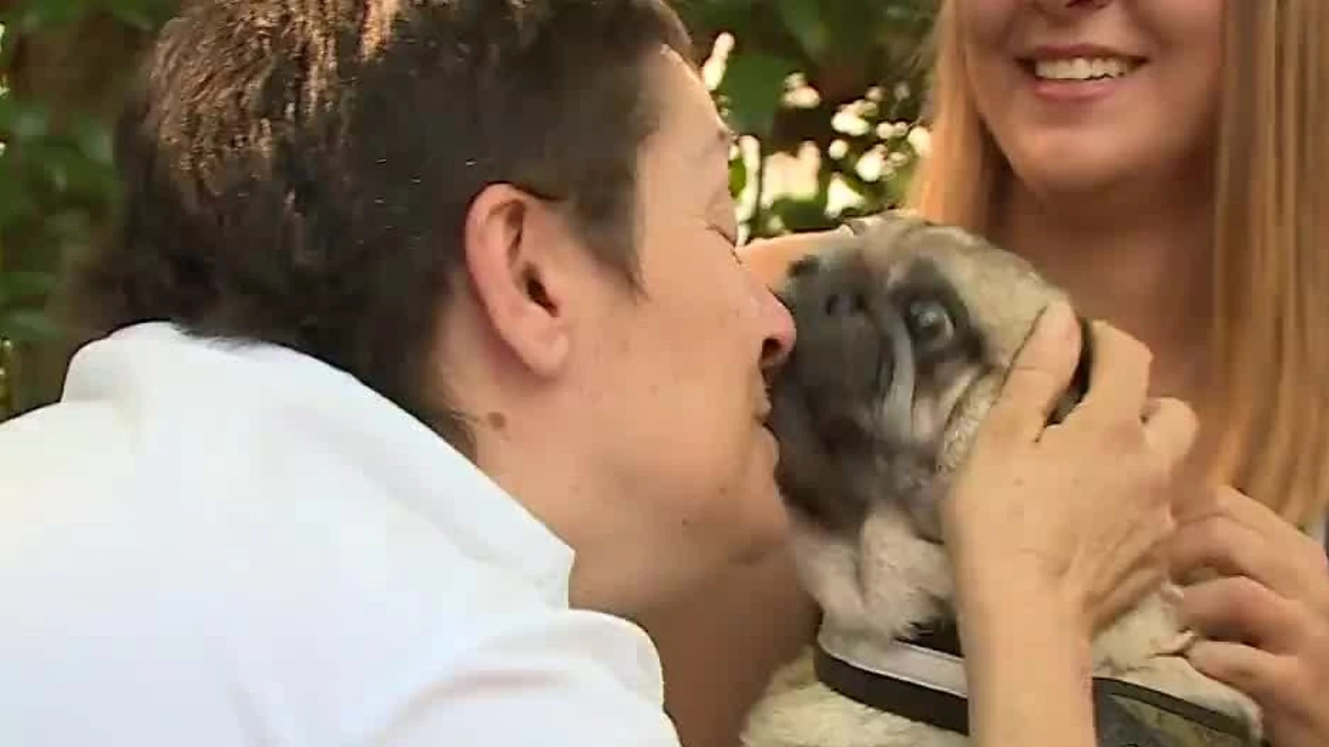 Visita de mascotas en el hospital