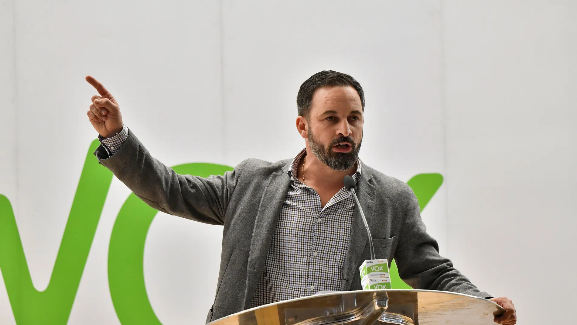 Vox al Límite: La Guerra Interna que Sacude a la Derecha Española