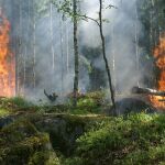 Imange de archivo de un incendio forestal. 
