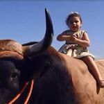 La amistad entre una niña de 4 años y un toro de 1.000 kilos