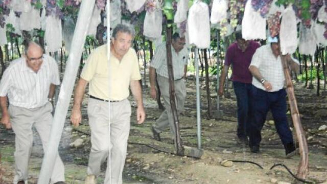 El consejero Cerdá (segundo por la izquierda), durante su visita a Blanca para valorar el estado de los viñedos