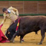 El novillero sin caballos Adrien Salenc en la pasada Feria del Zapato de Oro de Arnedo