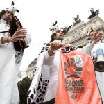 Los ganaderos piden soluciones a la crisis láctea