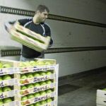 Empleo niega que oculte información y admite el último pago a Mercasevilla