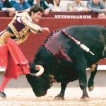 En Las Ventas, los bueyes del Santo