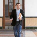 El diputado andaluz de Podemos Sergio Romero