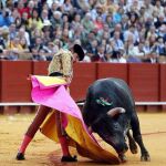 El diestro Eduardo Dávila Miura, en su última actuación en la Maestranza de Sevilla