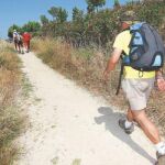 Caminar tras los pasos de las ovejas