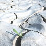 Con voluntad política, Cancún puede marcar el progreso climático