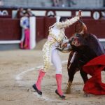 Momento de la cogida al novillero Guillermo Valencia en Las Ventas