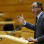 El ministro de Sanidad, Alfonso Alonso
