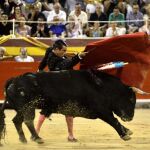 Pase de pecho de Manzanares, en imagen de archivo