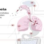 DESCARGUE EL GRÁFICO EN «CONTENIDOS RELACIONADOS»