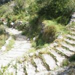La ruta por el río Turia