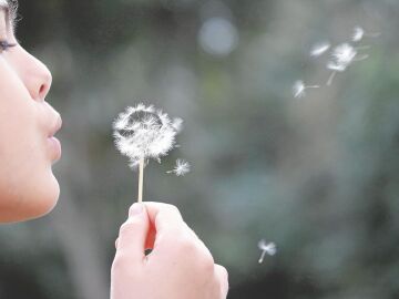 La rinitis al&eacute;rgica es el s&iacute;ntoma m&aacute;s frecuente por el volumen de pacientes afectados, ya que motiva el 52,5% de los casos de consulta