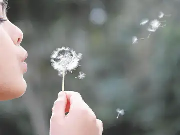 La rinitis alérgica es el síntoma más frecuente por el volumen de pacientes afectados, ya que motiva el 52,5% de los casos de consulta La rinitis alérgica es el síntoma más frecuente por el volumen de pacientes afectados, ya que motiva el 52,5% de los casos de consulta