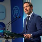 El secretario general del Partido Popular, Teodoro García Egea / Efe