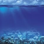 Mitos y verdades del agua del mar