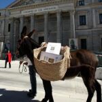 alforjas repletas El sector videográfico quiso poner orejas de burro ayer a sus señorías por la lentitud con que abordan el problema de la «piratería». Presentaron 40.000 firmas a lomos de un asno, un animal conocido por su escasa velocidad