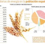 Demasiadas grasas y pocos hidratos de carbono