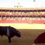 Cayetano Rivera Ordóñez durante la corrida en la plaza de toros de Zamora.