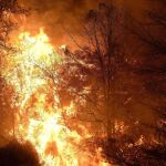 Fuego en los montes próximos a la localidad de Bárcena Mayor