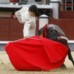Natural de López Simón en la pasada Feria de San Isidro