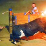 La tradición de los «Correbous» cuenta con un gran seguimiento en las comarcas del Ebro