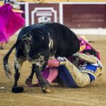 El matador de toros Francisco Rivera Ordóñez "Paquirri"sufre una cogida por el cuarto toro de la tarde durante la corrida de la Feria de San Lorenzo de Huesca