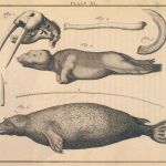 Viaje mágico a las Galápagos, las islas encantadas
