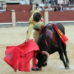 El novillero Adrián de Torres