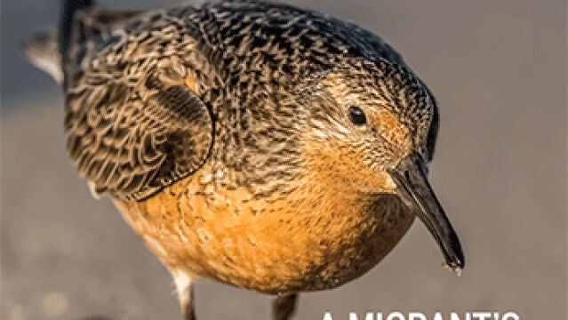 Portada de la revista Science con la información sobre este ave
