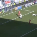 El portero del Duisburgo se quedó estático tras el gol