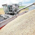 Las fuertes variaciones de precio en los mercados de cereales pueden encarecer mucho los productos alimenticios