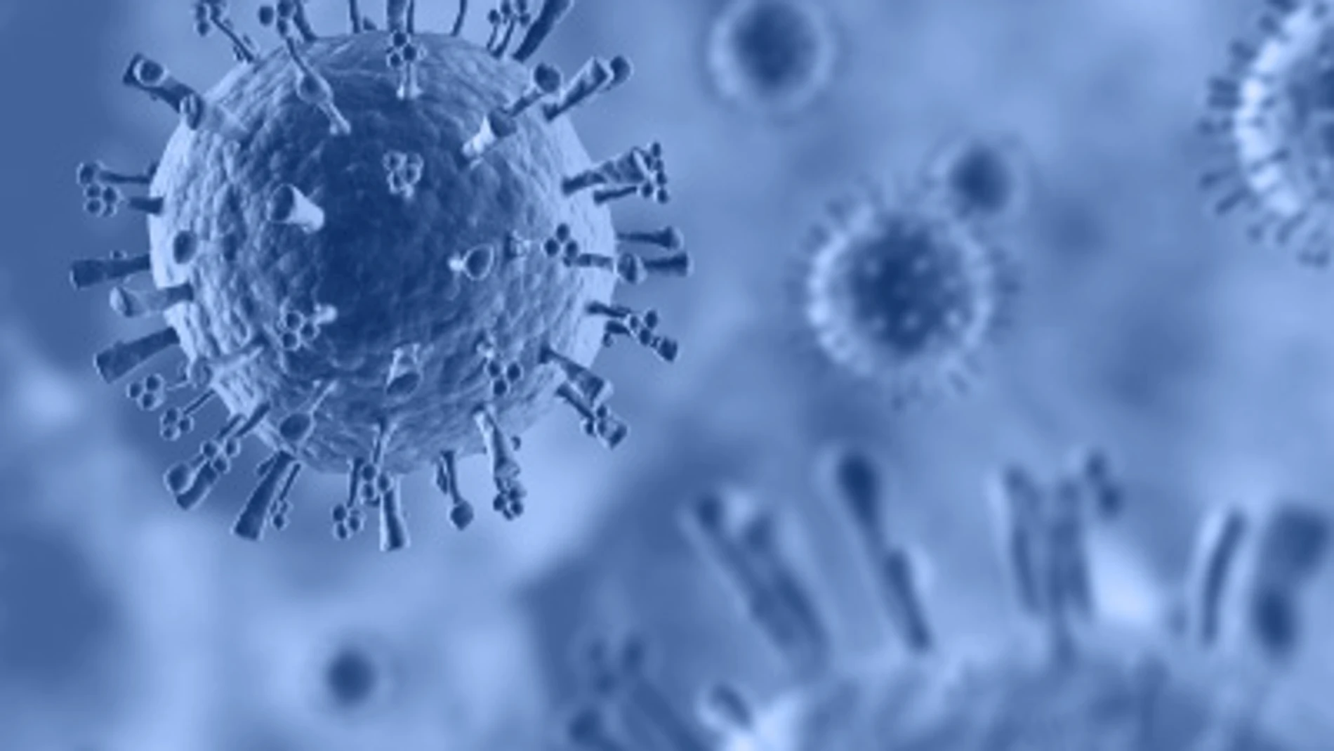 Imagen a nivel microscópico del virus H1N1