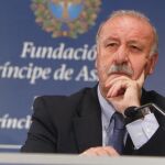Del Bosque convoca a los mundialistas con la excepción de Cazorla por Navas