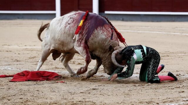Javier Cortés cogido por el quinto de la tarde, un sobrero de José Luis Marca / EFE