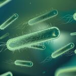 Últimas armas para la destrucción de superbacterias