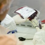 «Ordeñar» el cordón umbilical es bueno para los prematuros