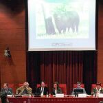 El Parlament votará esta semana sobre las corridas de toros