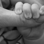 Donar óvulos tras ser madre: un nuevo estudio despeja una duda recurrente