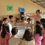 Los niños realizan actividades plásticas y relacionadas con la naturaleza, pero también artísticas, deportivas y de lectura