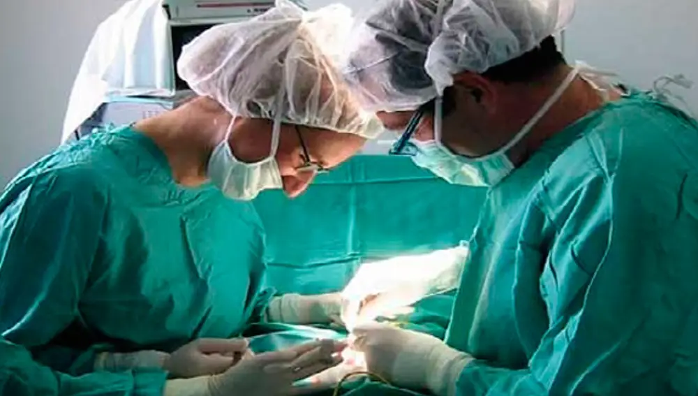 Muere durante una relación sexual con su esposa y su caso acaba impulsando una nueva ley en EEUU 1 La donación de órganos sube un 10% en el primer trimestre del año