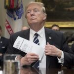 El presidente de EE.UU., Donald Trump / Efe