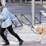 Entre los más jóvenes, un abrumador 95,2% apoya castigar con severidad el abandono de mascotas