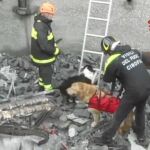Héroes con cara de perro
