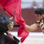El torero extremeño, Miguel Ángel Perera, en su faena con la muleta durante la corrida celebrada esta tarde en la plaza de toros de Vitoria