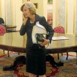 Elena Salgado atiende una llamada telefónica, después de que el Pleno del Congreso convalidara ayer el tijeretazo